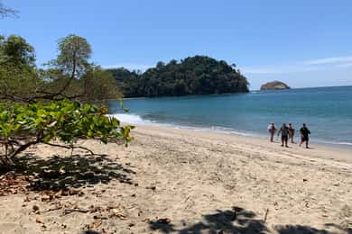 Manuel Antonio nationalpark: All inclusive 8 timmars tur