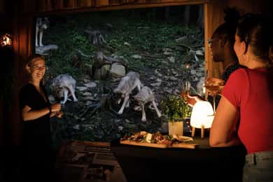 Parque Omega: Cena con lobos y guía naturalista