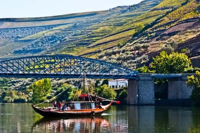 Vanuit Porto: Dagexcursie door de Dourovallei
