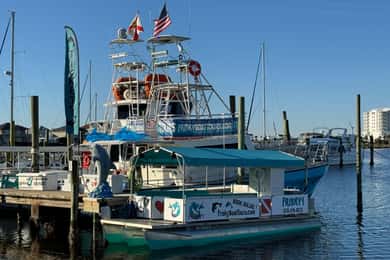 Pensacola Beach Sunset Dolphin Tour privado hasta 6 ppl