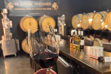 Relaxing Lunch & Wine Tour through Niagara's Wine Country