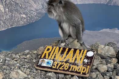 trekking mount rinjani summit join in group tour