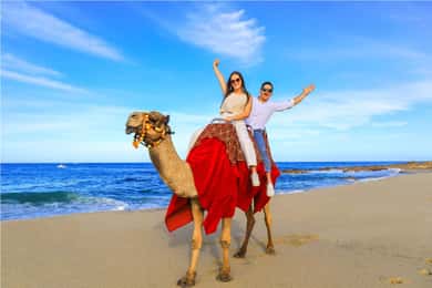 Plážové UTV a jazda na ťavách COMBO v Cabo od Cactus Tours Park