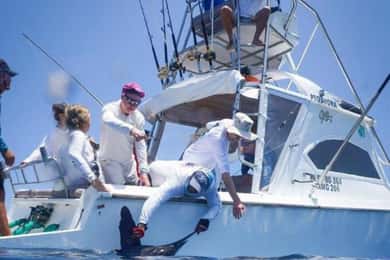 Galapagos Pinzon Private Yacht Day Tour