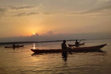 Guidet kajaksejlads på Roskilde Fjord: Tur ved solnedgang