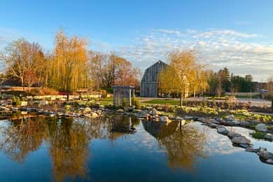 Niagara-on-the-Lake: wandeltour met gids