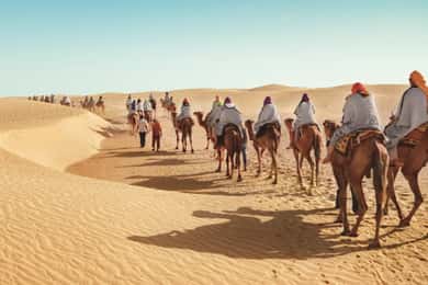 Douz: Two-Day Camel Trek with Overnight Camp in the Desert
