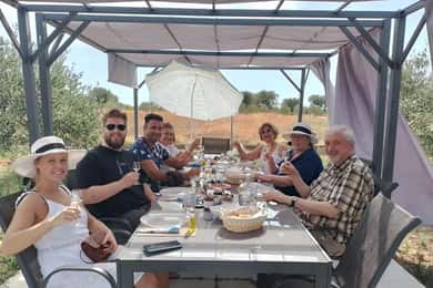 Olive Oil Seminar with Tasting in Metaggitsi - Halkidiki.