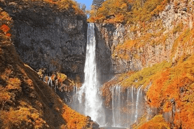 Da Tokyo: tour privato personalizzato a Nikko con autista inglese