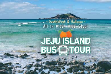 Jeju Island: Full-Day SouthWest Bus Tour with Entry Fees