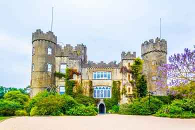 Excursión de medio día en coche de Dublín al Castillo y Jardines de Malahide