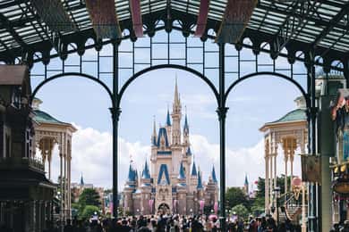 Disneylandia de Tokio: ticket de entrada de 1 día y traslado privado