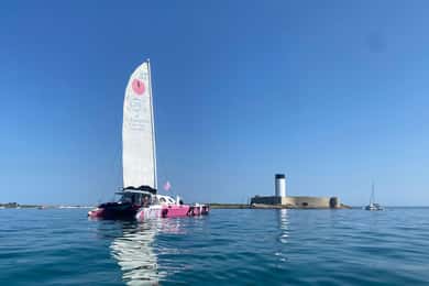 Day trip by catamaran to the island of Hoëdic from Port-Blanc
