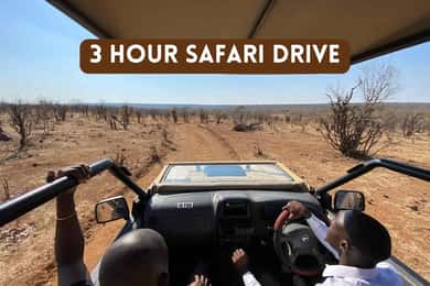 Cataratas Victoria: Safari en coche de 3 horas