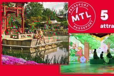 Montréal : Laissez-passer pour 5 attractions
