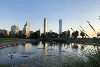 Private and personalized City Tour in Santiago