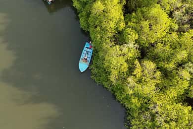 Croisière sur la rivière Madu et visite tout compris du jardin de cannelle