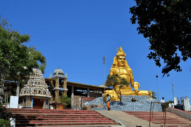 All inclusive Day Tour to Trincomalee from Sigiriya