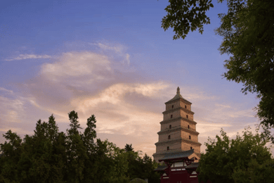 Xi'an : Temple Daci'en (Grande Pagode de l'Oie Sauvage) Billet électronique