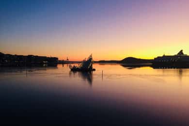 Oslo: Byvandring med lidenskapelig uavhengig guide
