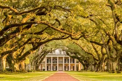 From New Orleans: Oak Alley Plantation Tour
