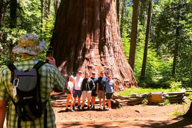 Yosemite Giant Sequoia Private 4X4 Jeep Tour