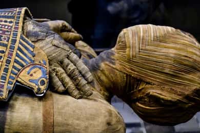 London: British Museum med expertguide.