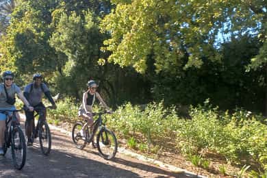 Franschhoek E-Bike & Wine Tour