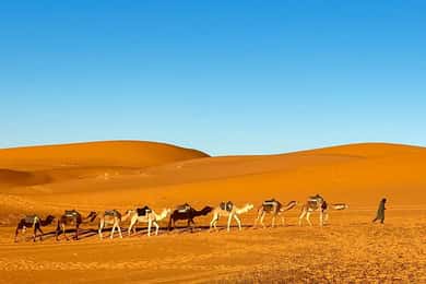 Fra Fes: 3-dages Merzouga-tur med kamelridning og luksuslejr