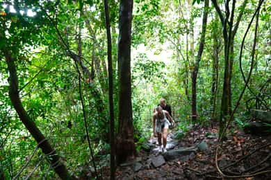 De Pattaya: Rayong Adventure Hike and Kayak Day Trip