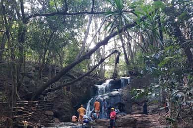 From Nairobi: Karura Forest Nature Trail