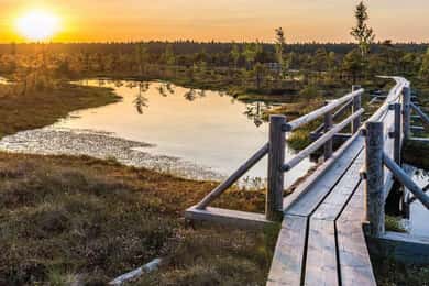 Sonnenaufgangstour zum Great Kemeri Bog