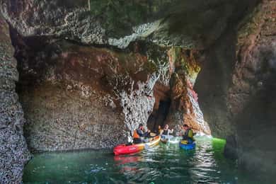 Wexford: Hell Hole & Back Sea Cave Kajakfahren