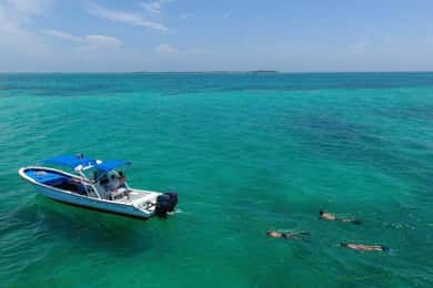 Cancún: Aventura de snorkel en las 3 islas