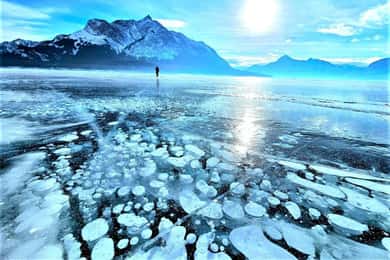 From Canmore/Banff: Icefields Parkway & Abraham Lake Bubbles
