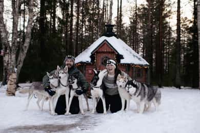 Överkalix: Privat huskyupplevelse med fika