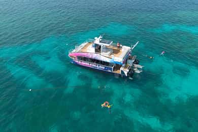 Cairns: All-Inclusive Great Barrier Reef Half-Day Snorkeling