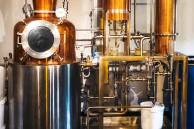 Holyrood Distillery Gin Tasting Experience