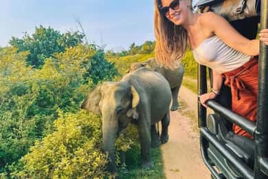 From Sigiriya : Hurulu Eco Park Safari : All Inclusive