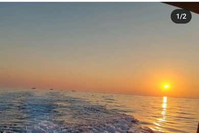 Brioni Private Sunset and Dolphin Bootstour für bis zu 11 Personen
