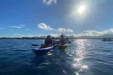 Mauritius: Kajaktur med delfinsafari i Tamarin Bay