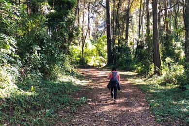 From Antigua Guatemala: Birdwatching and Scenic Hiking Tour