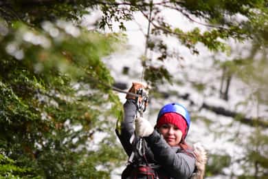 Canopy Half-Day Tour in Bariloche