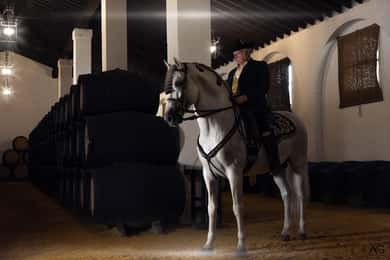 Jerez : Visite guidée des Bodegas Álvaro Domecq avec dégustation de vins