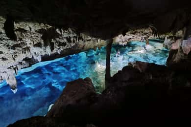 Bayahibe: Passeio na selva do Parque Nacional e mergulho em Cenotes