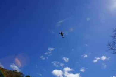 Plettenberg: 2-stündige Zipline Tour