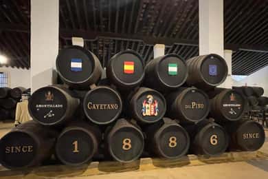 Jerez de la Frontera: Visita a Bodegas con Degustación
