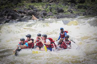 Victoria Falls: Whitewater Rafting Experience