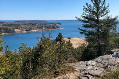 4 Hour Private Tour: Acadia, Fjord, Gardens & Mansions