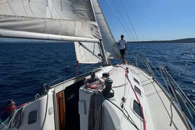 Asinara: sailing experience among the coves of the island